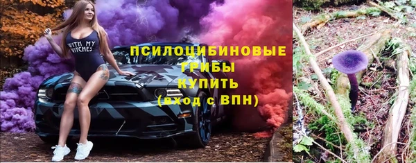 PSILOCYBIN Баксан