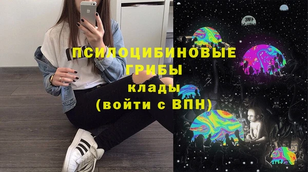 PSILOCYBIN Баксан