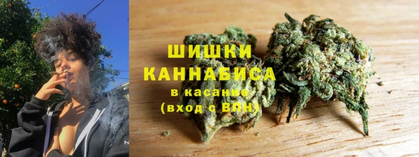 PSILOCYBIN Баксан