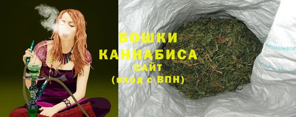 PSILOCYBIN Баксан