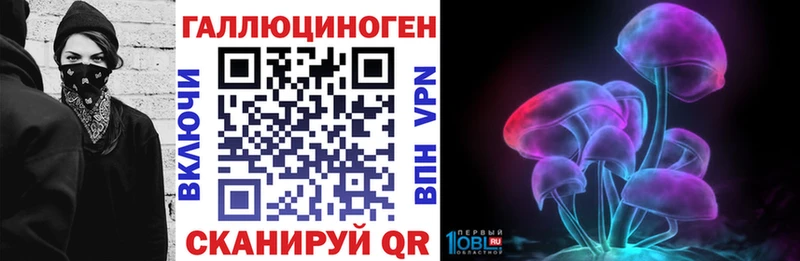 Галлюциногенные грибы Psilocybine cubensis  блэк спрут   Гурьевск 